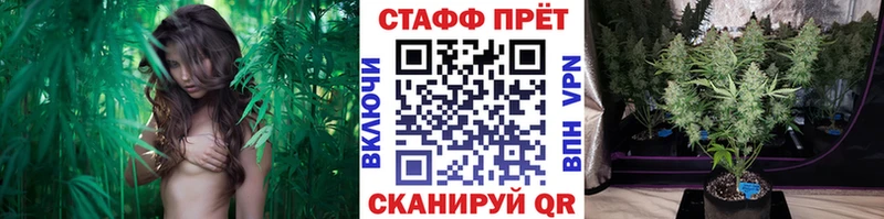 Где купить наркотики Сковородино Кокаин ГЕРОИН Гашиш МАРИХУАНА МЕФ А ПВП