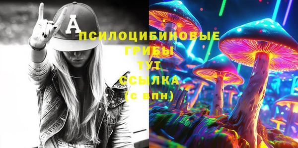 крисы Белоозёрский